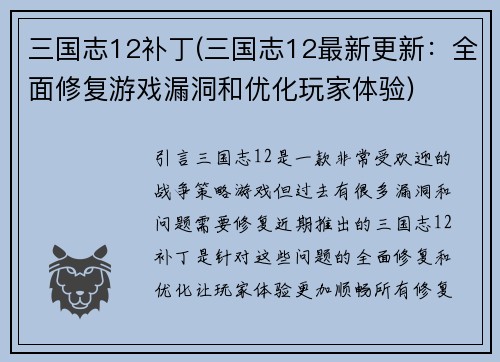 三国志12补丁(三国志12最新更新：全面修复游戏漏洞和优化玩家体验)